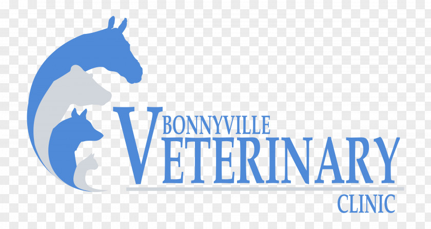 Horse Logo Veterinarian Clinique Vétérinaire Bonnyville Veterinary Clinic PNG
