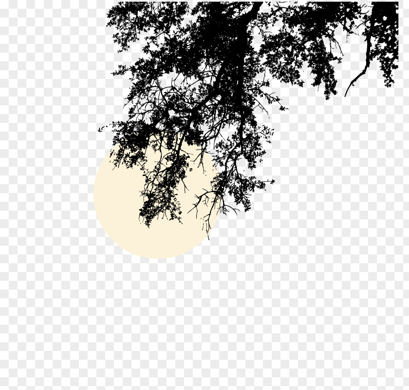 Shadow,Branches Moon Deer Nature Wildlife Clip Art PNG