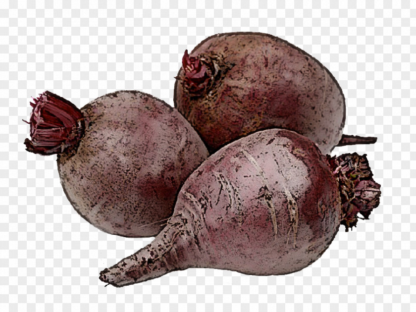 Shallot Plant Beetroot Beet Vegetable Food Root PNG