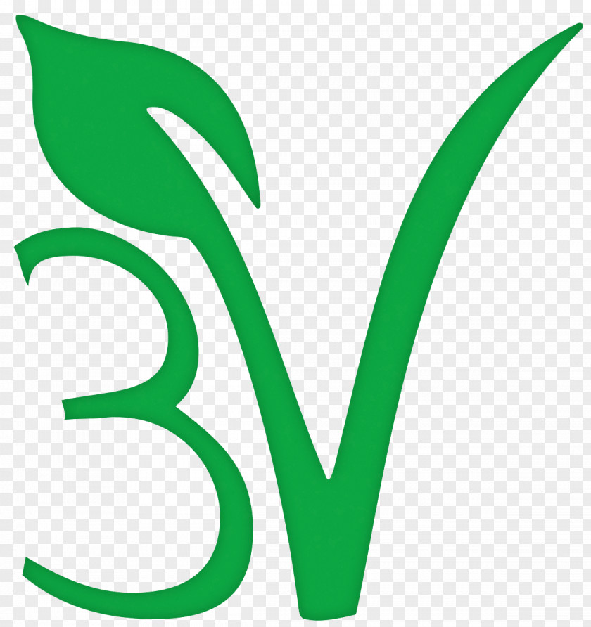 Symbol Plant Green Leaf Logo Line Font PNG