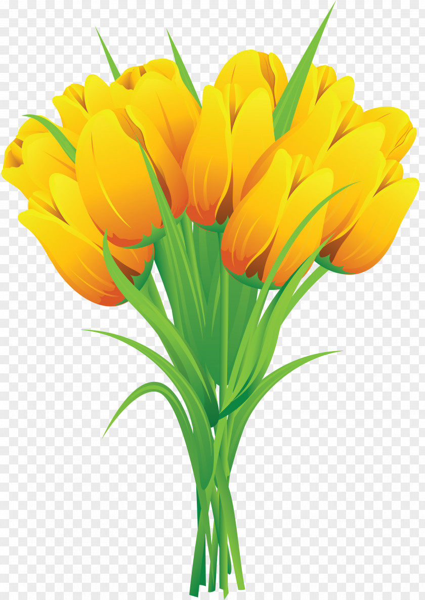 Tulip Flower Bouquet Yellow Clip Art PNG