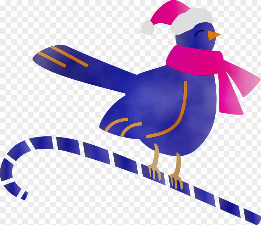 Bird Beak Flightless PNG