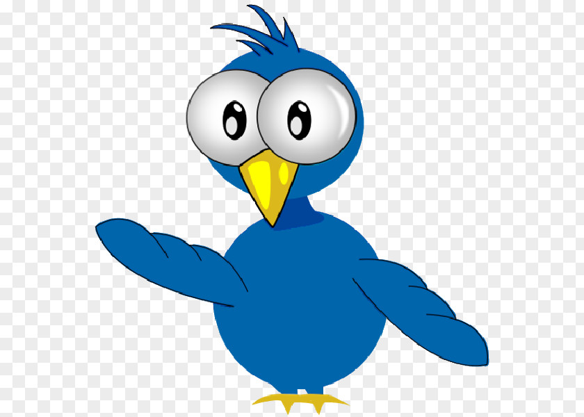 Bird Duck Clip Art PNG