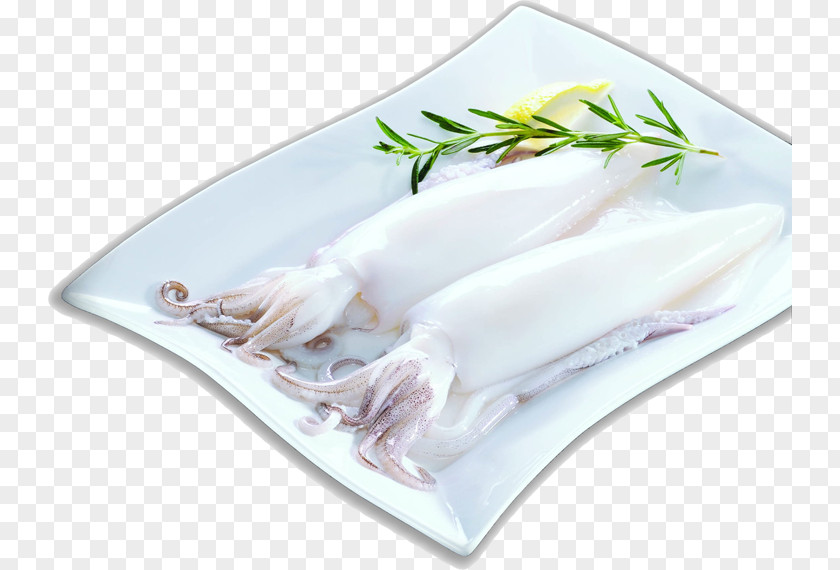 Fish Squid As Food Seafood PNG