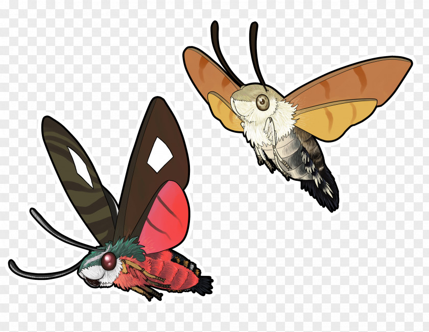 Moth Blue Green Color Black PNG