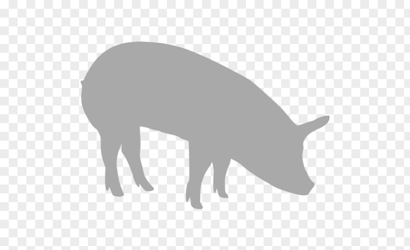 Pig Wild Boar The Blue PNG