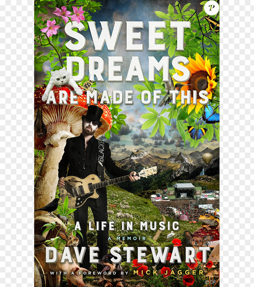 Sweet Dreams Are Made Of This: A Life In Music Von Den Eurythmics Bis SuperHeavy (Die Autobiografie) (Are This) Musician PNG of den bis Musician, Dave Lennox clipart PNG