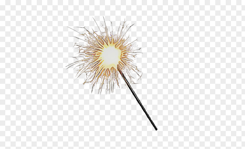 Beige Plant Dandelion Sparkler PNG