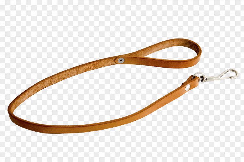 Design Leash Material PNG