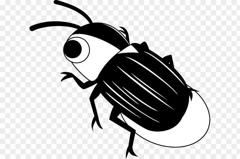 Firefly Insect Clip Art Illustration Image PNG
