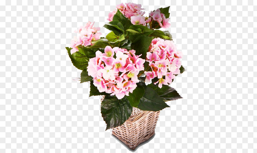Flower Floral Design Flowerpot Hydrangea Cut Flowers PNG