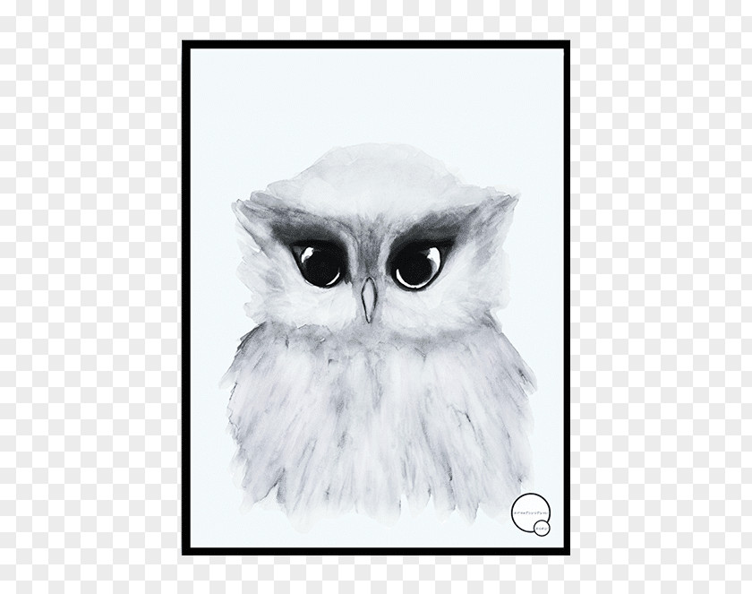 Watercolor Owl Poster Artikel Painting PNG