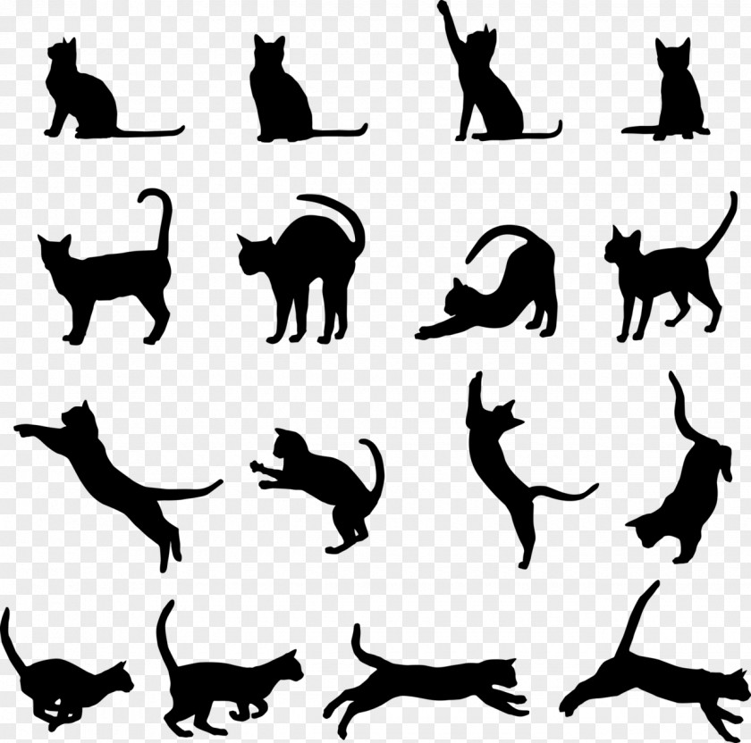 Animal Silhouettes Black Cat Kitten Clip Art PNG