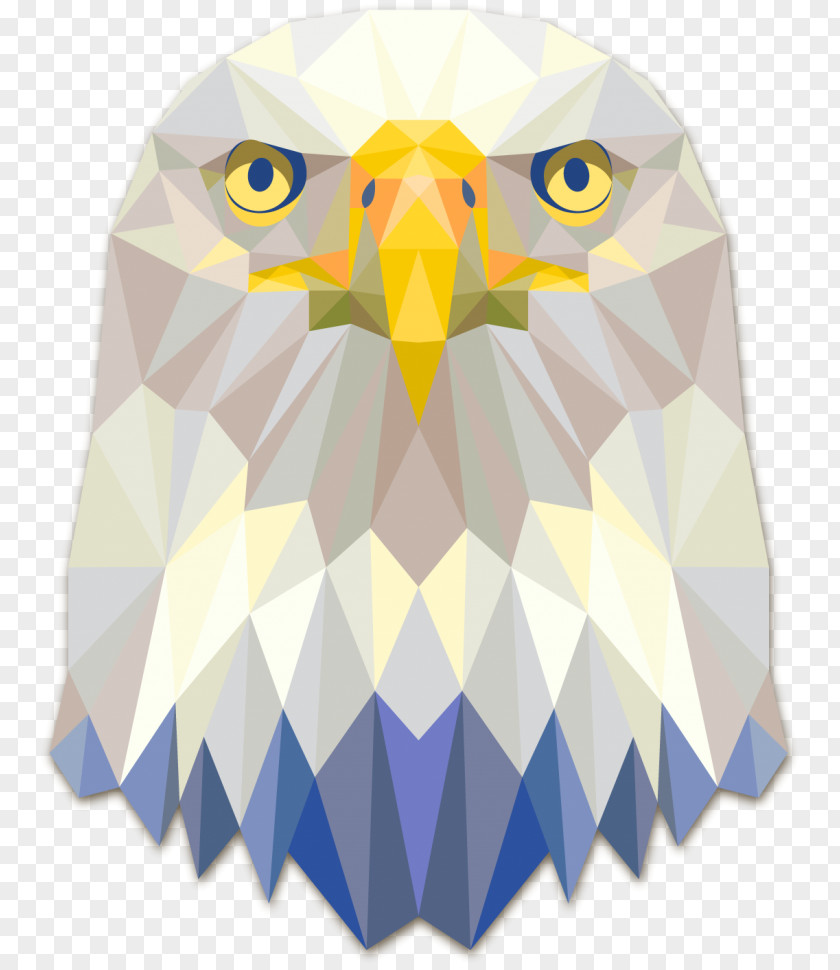 Eagle Bald Geometry Triangle Bird PNG