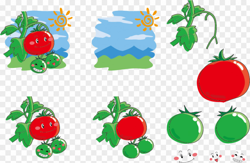 Expression Vector Sun Tomatoes Tomato Juice Cartoon Illustration PNG
