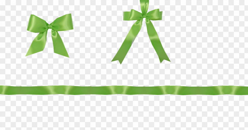 Granny Line Ribbon PNG