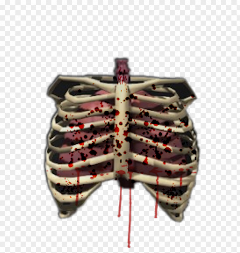 Human Skeleton Bone Rib Cage Body PNG