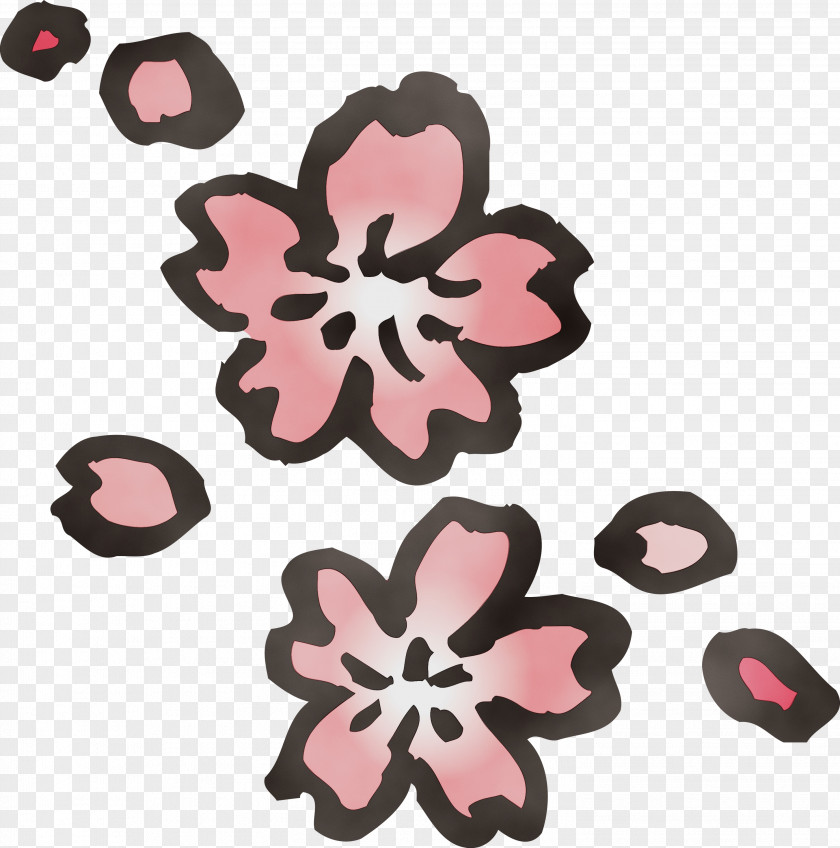 Pink Petal Plant Pattern Flower PNG