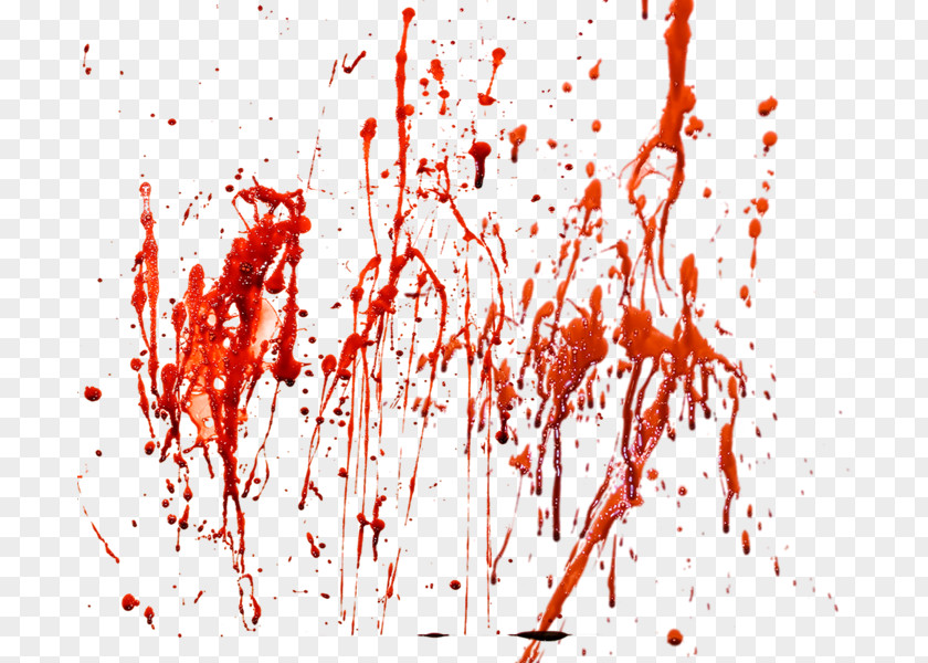 Blood Image Icon PNG