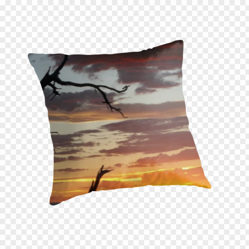 Grand Canyon Throw Pillows Cushion PNG