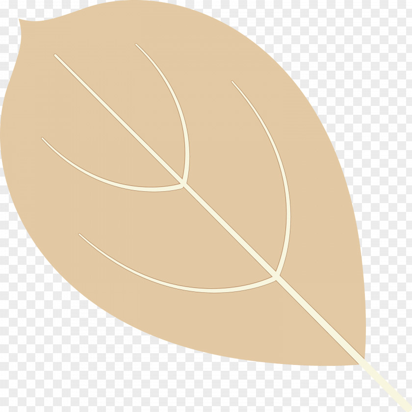 Leaf Angle Line Biology Plant Structure PNG