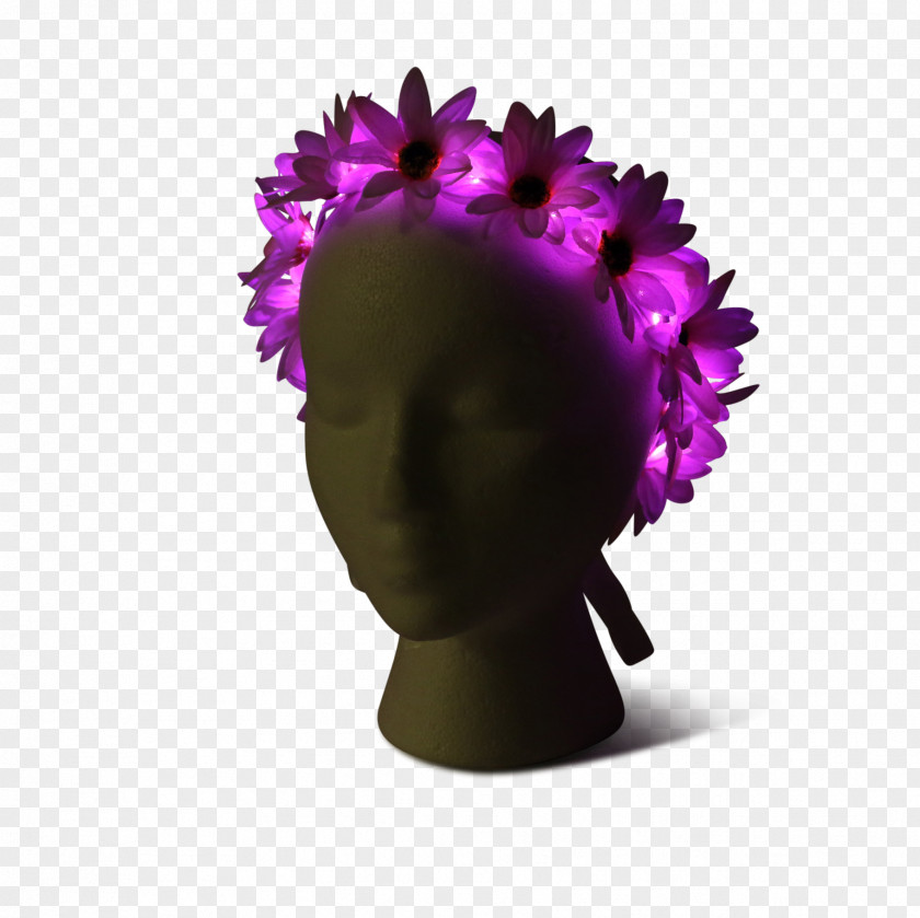 Light Petal Flower Wreath Crown PNG