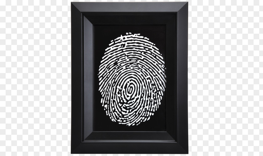 Picture Frames Art Fingerprint Printing Spiral PNG