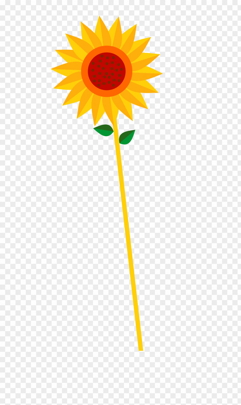 Sunflower Common Euclidean Vector PNG