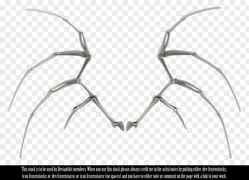 Angels Wings Skeleton DeviantArt Image Bone PNG