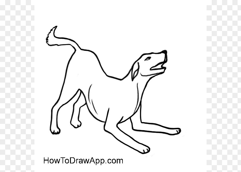 Dog Line Drawing Boxer Cat Breed Clip Art PNG