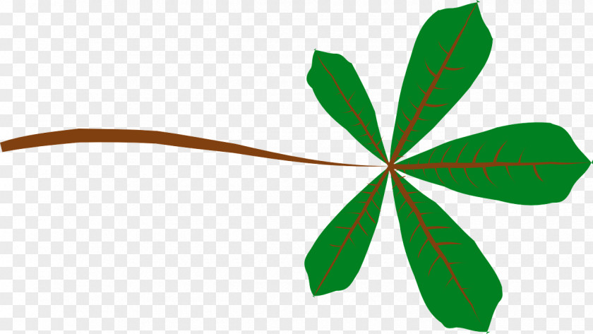 Green Leaves Four-leaf Clover Pinnation Clip Art PNG