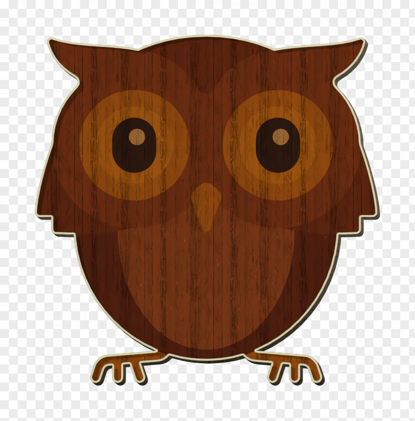 Owl Icon Animals And Nature PNG