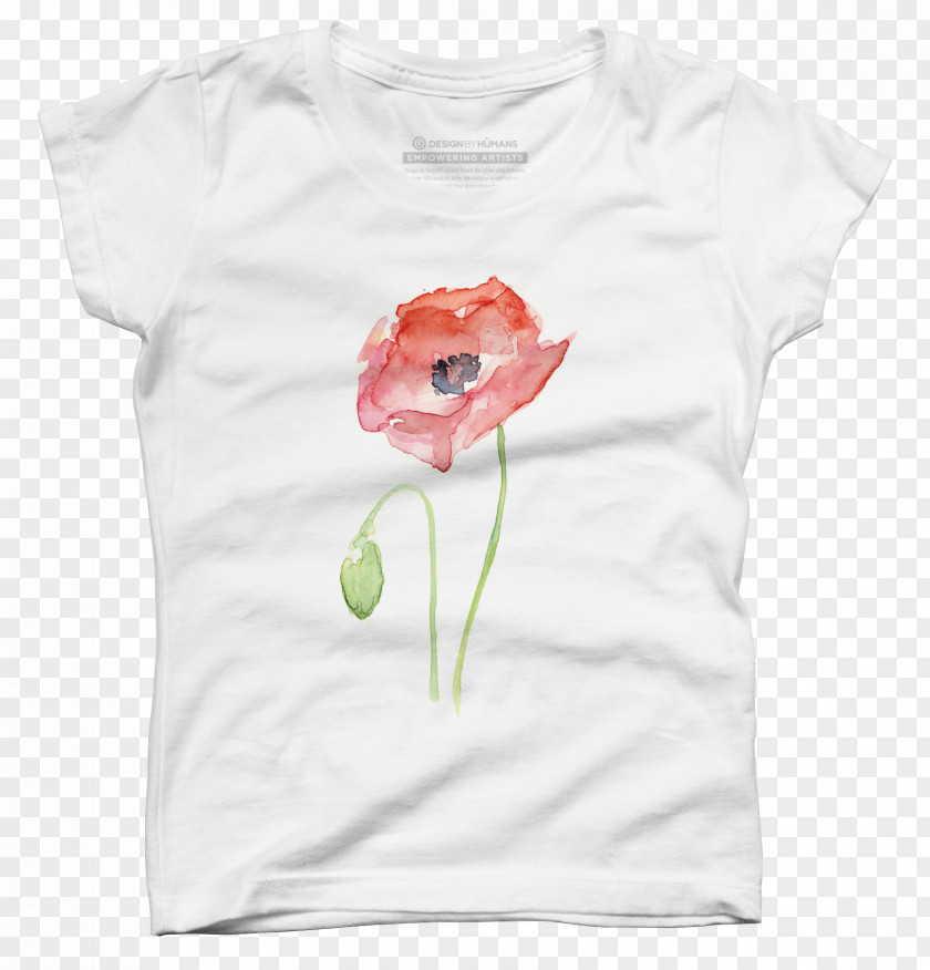 Painting Common Poppy Watercolor Art PNG