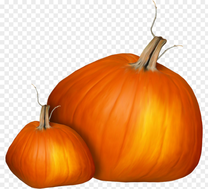 Pumpkin Jack-o'-lantern Calabaza Gourd Squash PNG