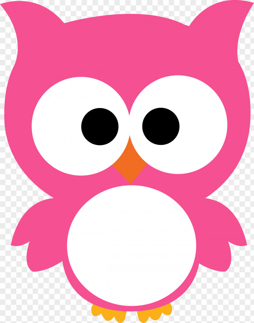 Setup Frame Owl Clip Art Illustration Image Vector Graphics PNG