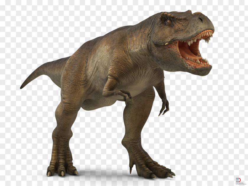 T-rex Tyrannosaurus 3D Computer Graphics Royalty-free Dinosaur FBX PNG