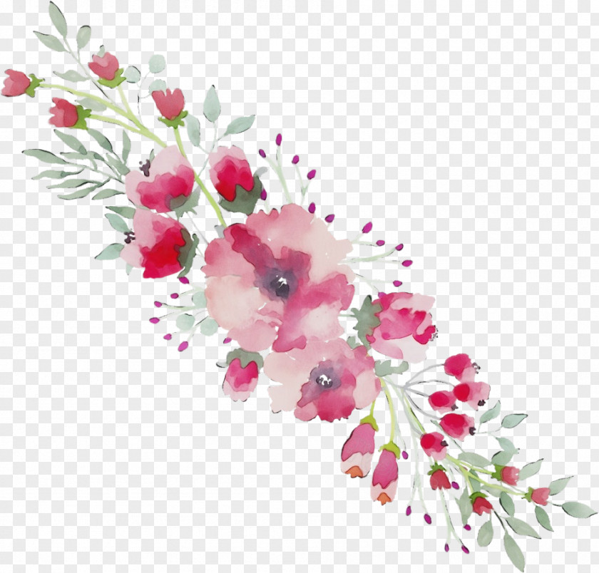 Art Twig Cherry Blossom Cartoon PNG
