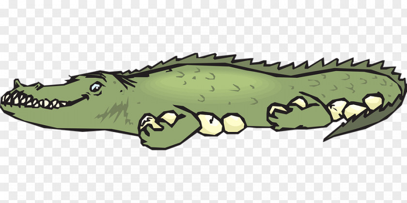 Crocodile Alligators Design Animal Cartoon PNG