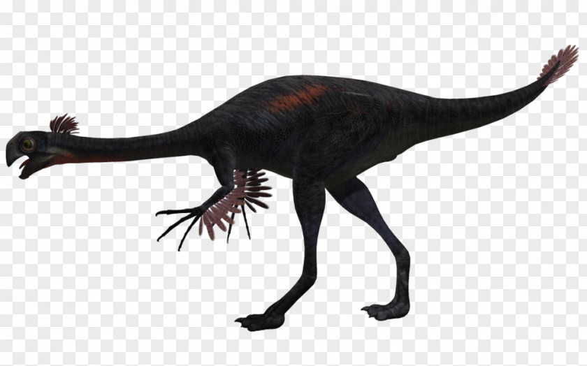 Gigantoraptor Velociraptor Kentrosaurus Dinosaur Animal PNG