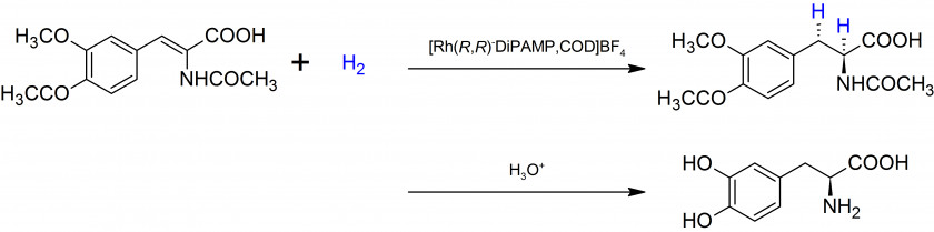 L Levodopa Chemical Synthesis Chemistry Neurotransmitter Biosynthesis PNG