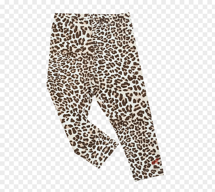 Leopard Leggings Bluza Monnalisa Pants PNG