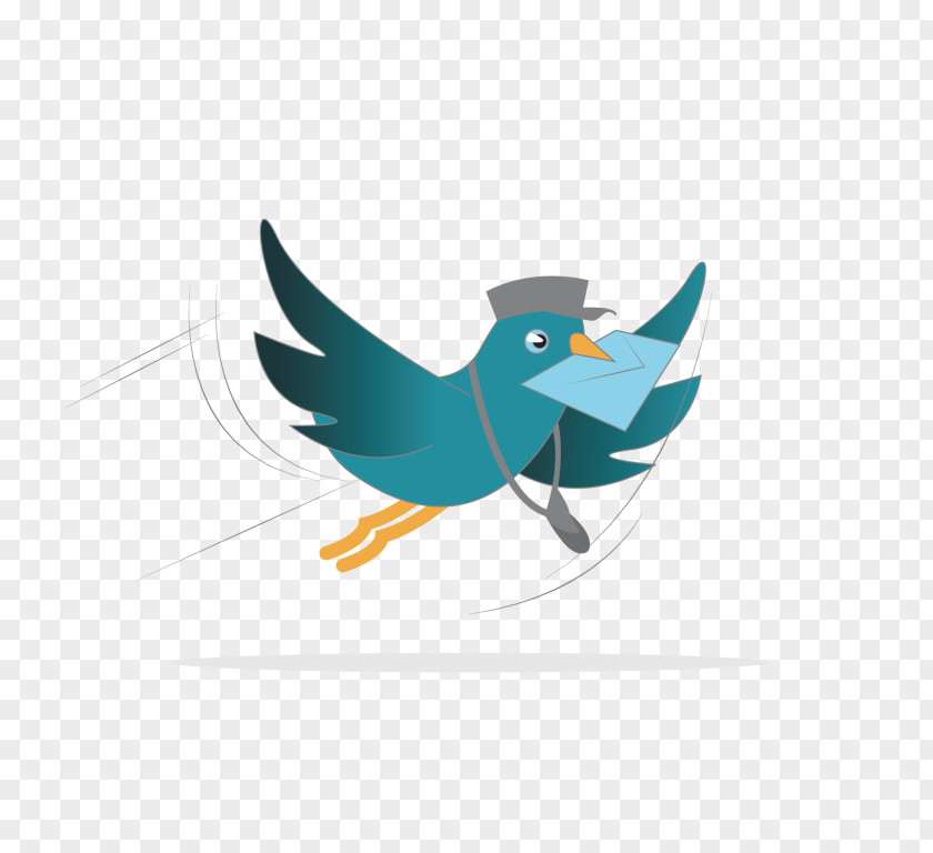 Songbird Perching Bird Dove Logo PNG