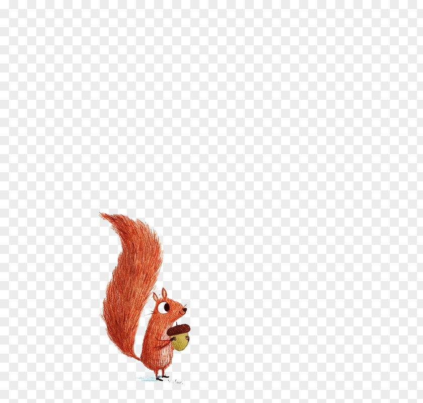 Squirrel Drawing Illustration PNG