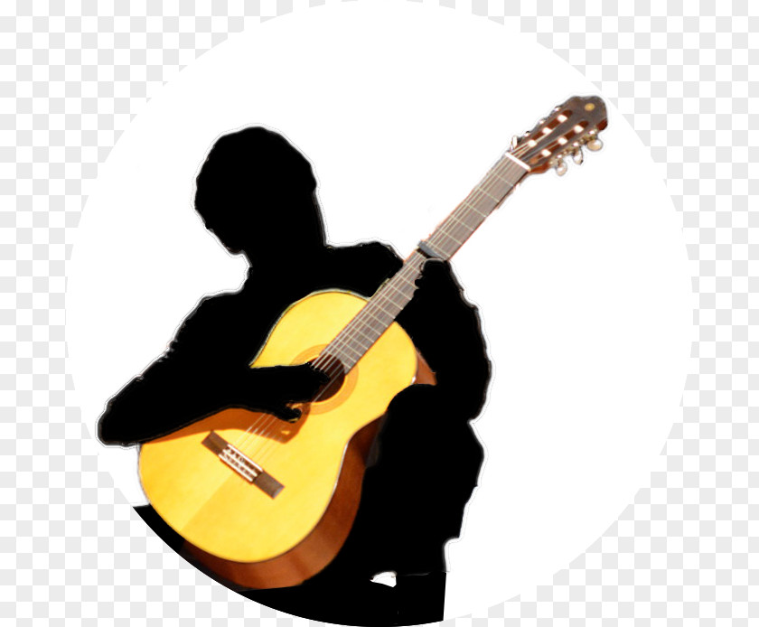 Acoustic Guitar Bass Tiple Cavaquinho Cuatro PNG