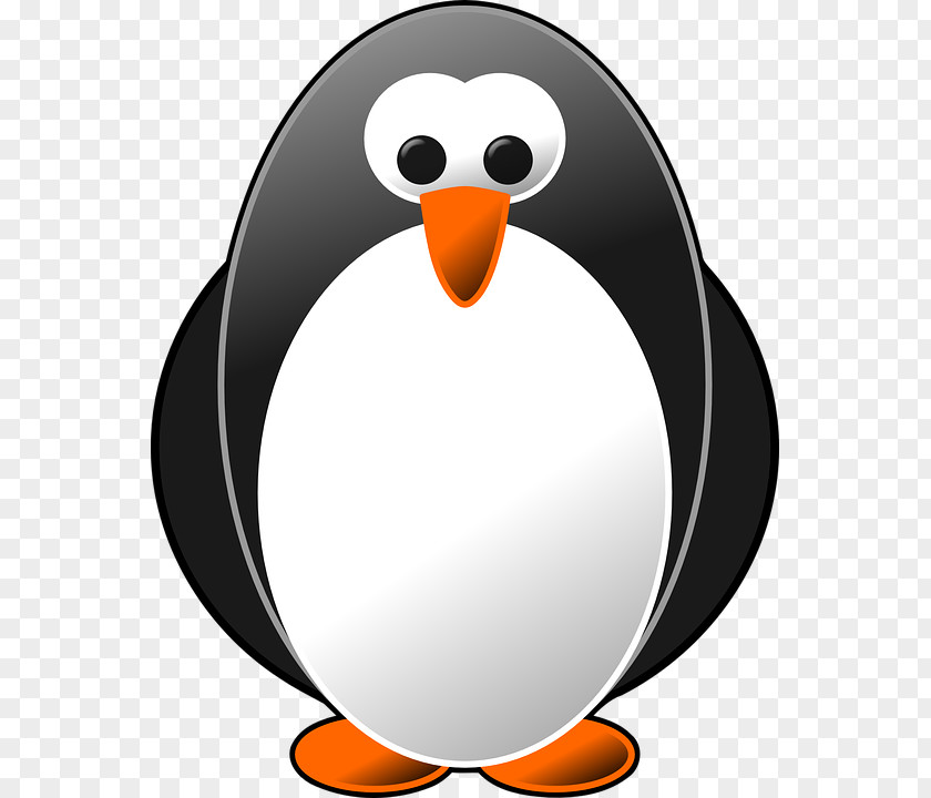 Linux Logo Penguin Tux Clip Art PNG