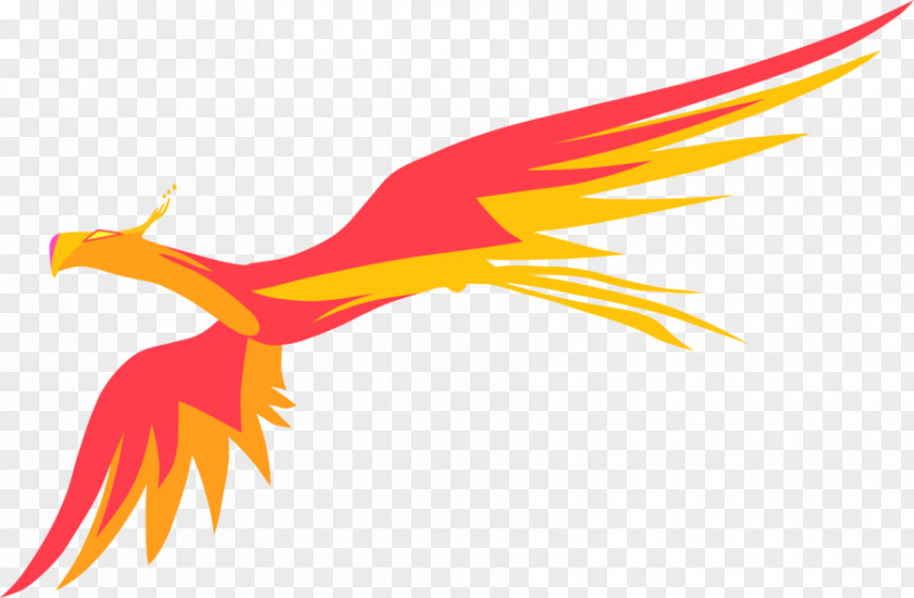 Phoenix Twilight Sparkle Rainbow Dash Princess Celestia Fluttershy Rarity PNG