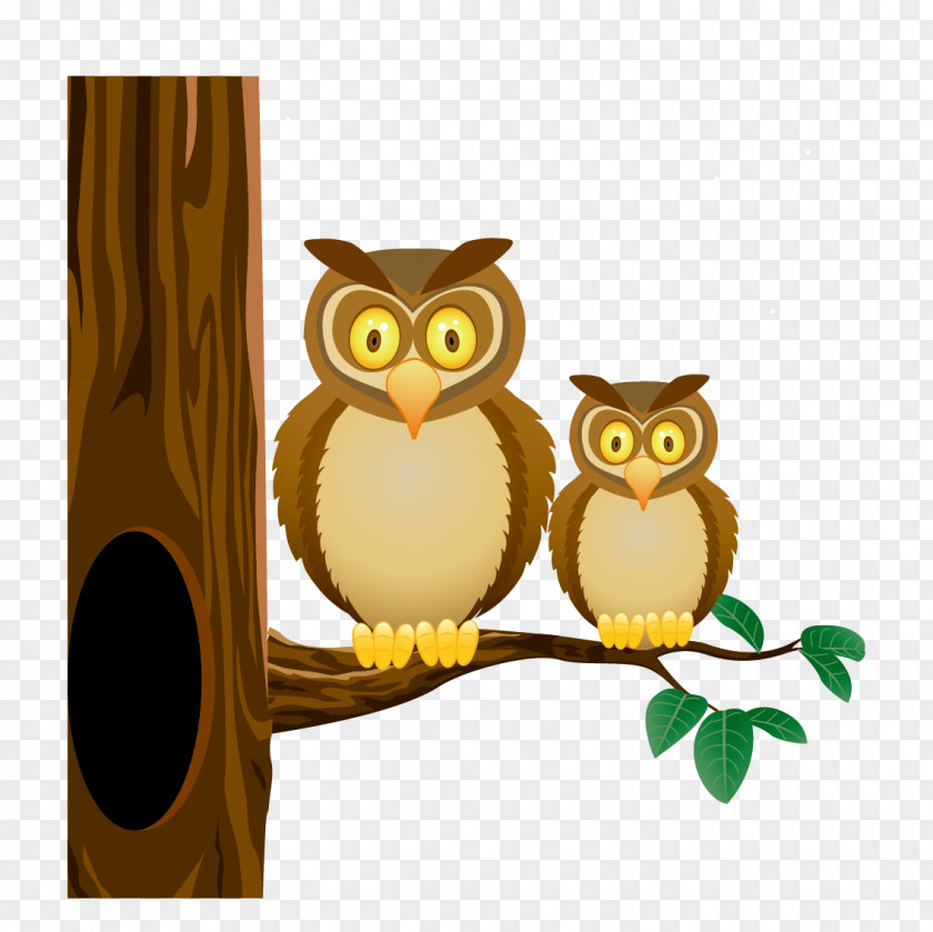 Vector Owl Stock Illustration Drawing Clip Art PNG