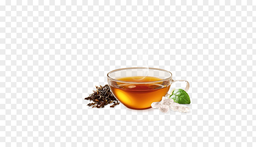 Assam Tea Darjeeling Mate Cocido Oolong PNG