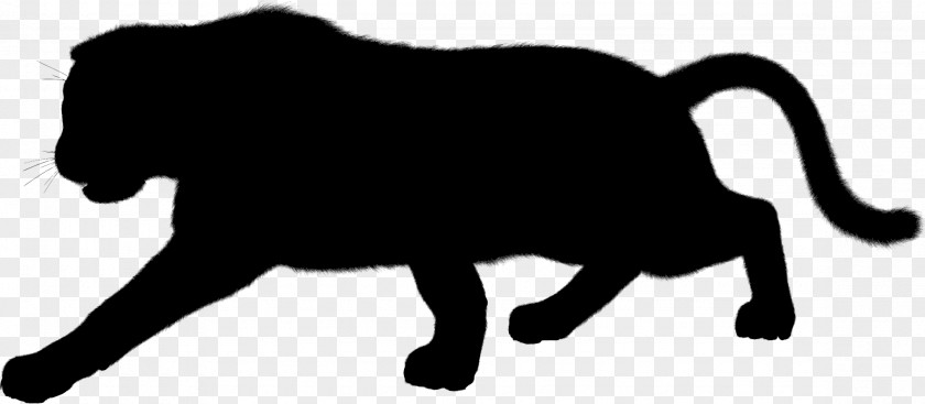 Black Panther Leopard Cat Jaguar Felidae PNG