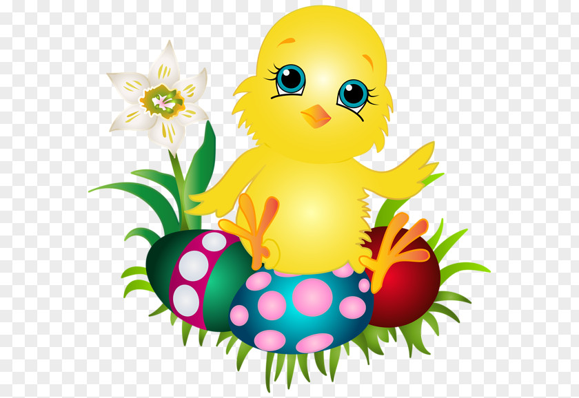 Easter Bunny Chicken Clip Art PNG